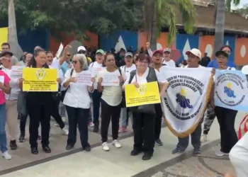 profesionales de la enfermería