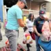 Las jornadas de distribución de proteínas o bolsas de alimentos siguen vigentes.