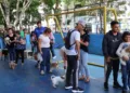 Jornada de atención veterinaria
