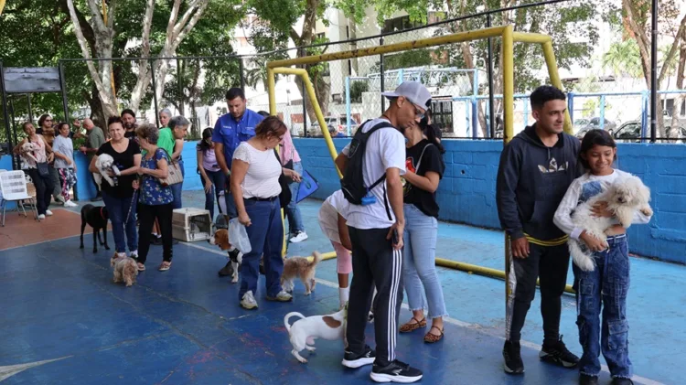 Jornada de atención veterinaria