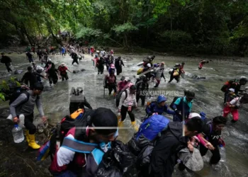 red de tráfico de migrantes