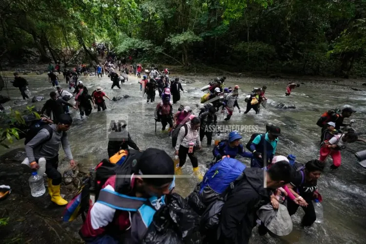 red de tráfico de migrantes