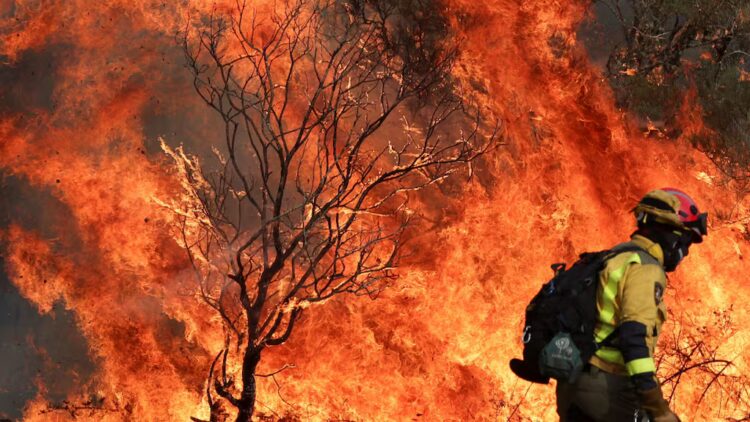 El gobierno español decretó la noche del jueves la emergencia de alcance nacional.