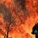 El gobierno español decretó la noche del jueves la emergencia de alcance nacional.