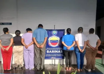 Entre los detenidos se encuentra el jefe del área de Neonatología.