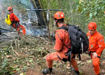 El helicóptero se estrelló en el Parque Nacional de Tijuca.