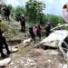 Los esposos Eduardo Barbera y Zuleika Morillo fallecieron tras ser arrastrados por una fuerte corriente de agua.