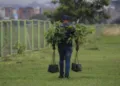 “Sembrando Árboles para la Vida” forma parte del Plan Nacional de Reforestación Chuquisaca 2025-2026.