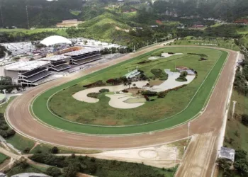 Avanzan los trabajos para convertir el óvalo interno del Hipódromo La Rinconada en una pista de grama.