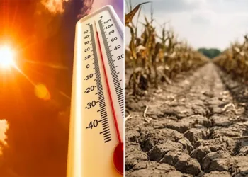 Las altas temperaturas en Venezuela podrían durar hasta el primer trimestre de 2027.