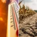 Las altas temperaturas en Venezuela podrían durar hasta el primer trimestre de 2027.