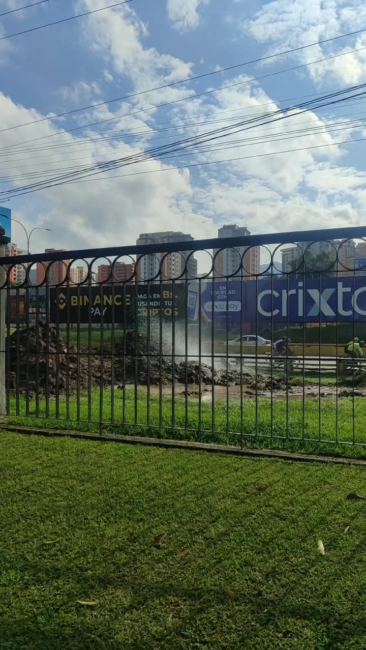 Conductores y transeúntes reportaron el bote de agua en las inmediaciones del Parque Feñalver.