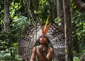 En Venezuela se reconocen oficialmente entre 51 y 52 pueblos indígenas diferentes.